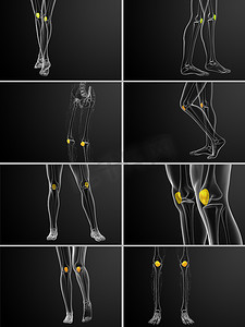 髌骨的 3d 渲染医学插图
