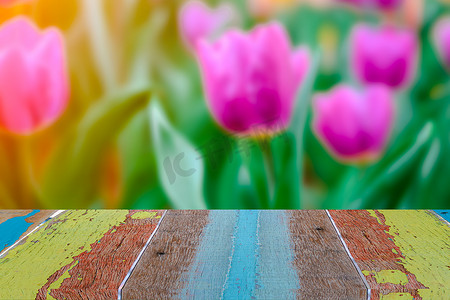 字体空间摄影照片_花园中模糊紫色郁金香字体的空复古空复古木桌和带有复制空间的耀斑抽象背景。