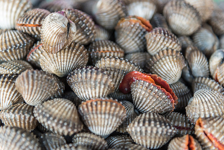 海鲜市场新鲜生海蛤蛤