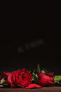 枯萎摄影照片_深灰色背景上枯萎的玫瑰和带落花瓣和落叶的木桌，悲伤情人节浪漫的设计理念，破碎，复制，空间。
