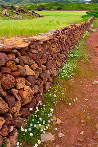 梅诺卡岛春天的砖石石墙与鲜花