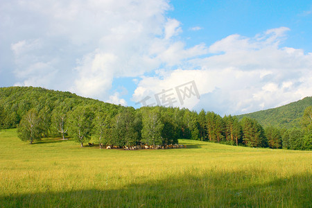 农村风景摄影照片_美丽的夏日风景