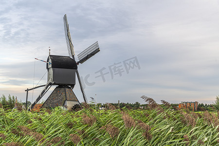 强风吹拂摄影照片_在强风吹的野草篱芭上方的荷兰风车