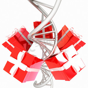 DNA结构模型和礼物