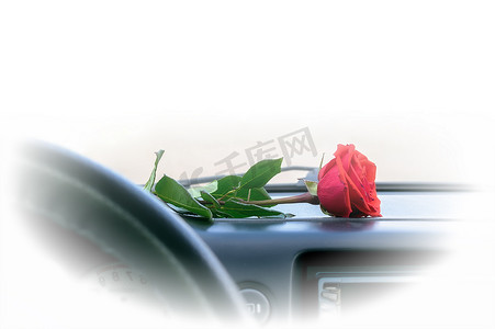 车玫瑰花摄影照片_一朵红色的玫瑰花躺在车内的仪表板上