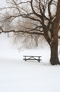 树下雪中的野餐桌