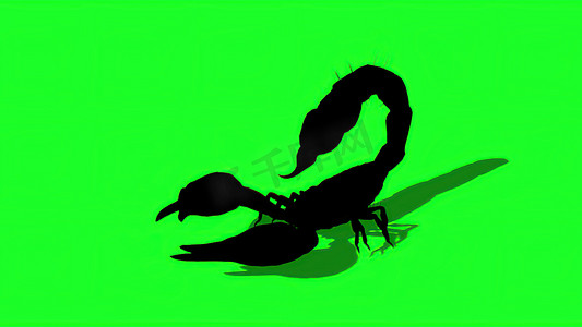 3d 插图-森林蝎子的剪影在一个咄咄逼人的姿势