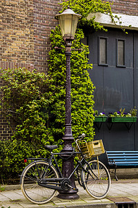 阿姆斯特丹一根灯杆上绑着自行车