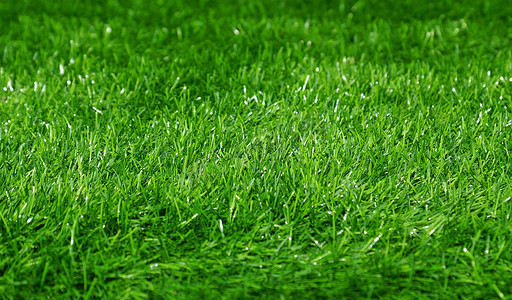 草地图案摄影照片_绿色足球场草地背景