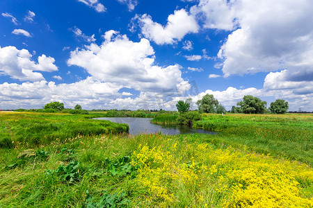 夏日风景