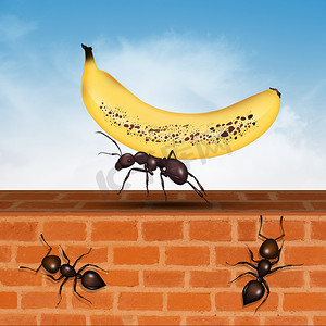 食物小插画摄影照片_拿着香蕉的蚂蚁插画