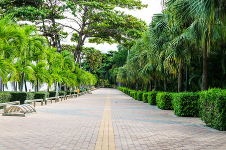 绿化路摄影照片_砖块混凝土海滩路和花园边