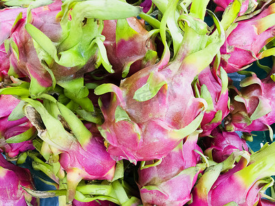 粉色火龙果摄影照片_泰国市场上的火龙果