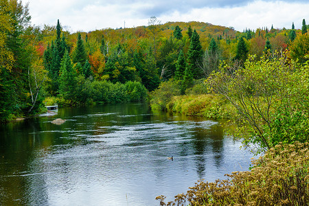 Riviere du Nord in Val David, Laurentian