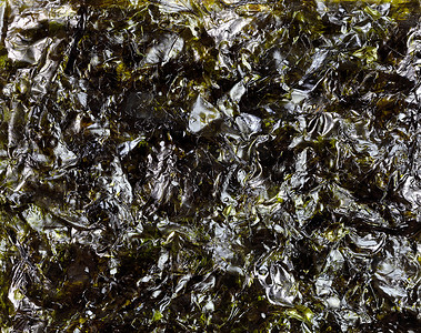 哥特风边框摄影照片_宏观背景设置中的干绿海藻