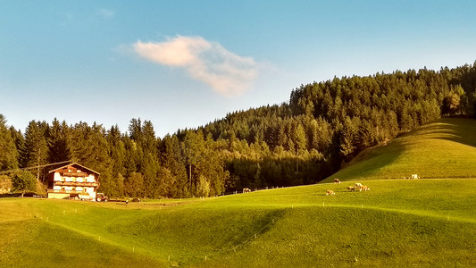 蒂罗尔山全景：一个绿色的山谷，有快乐的放牧奶牛和日落时的小木屋