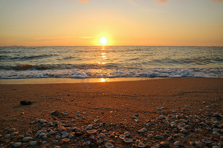 夕阳最后一盏灯在天空线贝壳在海滩上