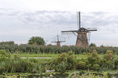 荷兰阿尔布拉瑟丹，蓝色时段，野草围栏上方的荷兰风车被强风吹过
