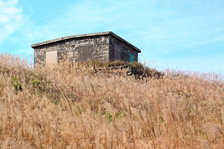 山上有草的老石屋