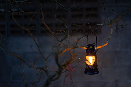 晚上挂在树上的老式灯笼