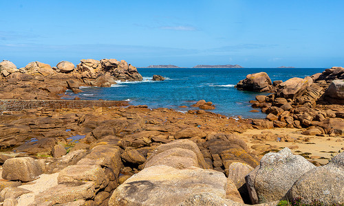 海边玫瑰摄影照片_在布列塔尼阿莫尔海岸徒步旅行