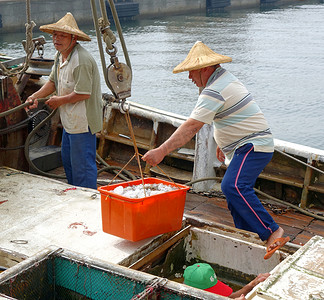 渔民卸下他们的渔获物
