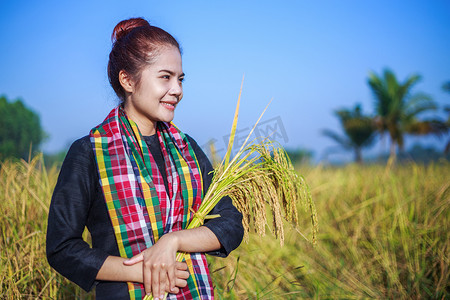 农妇在地里捧着稻谷