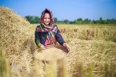 打稻谷摄影照片_农妇在地里打稻谷