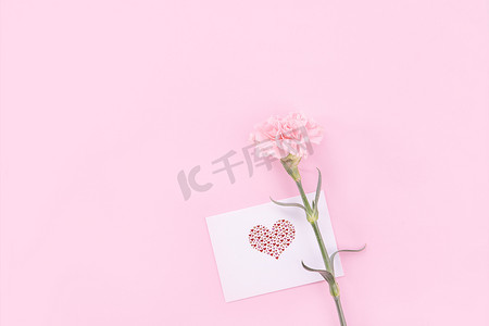 美丽、清新优雅的康乃馨花束与白色问候感谢礼品卡隔离在明亮的粉红色背景、顶视图、平躺概念。