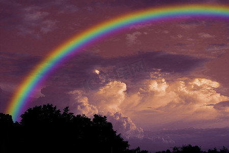 漂亮的彩虹摄影照片_落日天空上的彩虹 背影 干枯的树枝