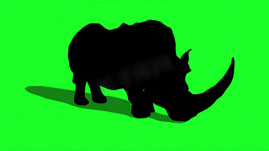 犀牛剪影摄影照片_3d 插图-犀牛在绿屏上的剪影