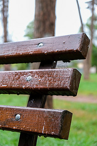 雨中公园里的湿长椅。