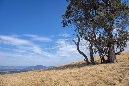 农村风景摄影照片_维克多 Tallangatta 途中通往山丘的风景道路