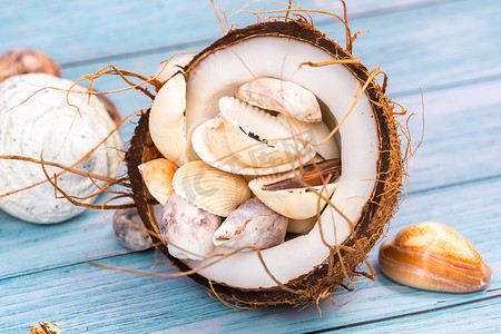 夏天主题背景摄影照片_蓝色木质背景中的椰子和贝壳。海洋主题