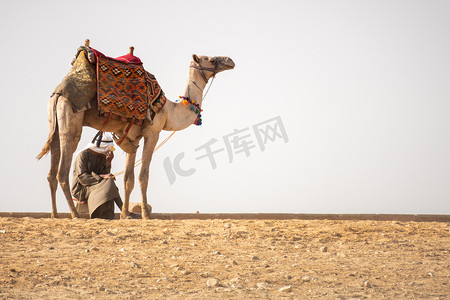 埃及开罗沙漠骑骆驼