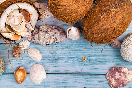 蓝色木质背景中的椰子和贝壳。海洋主题