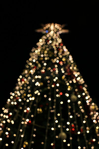 模糊的圣诞树装饰背景，带夜灯、圣诞假期庆典、圣诞树、新的欧洲冬天