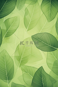 绿色浅绿色背景背景图片_浅绿色半透明树叶植物底纹背景