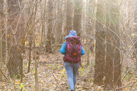 人与树摄影照片_人与自然概念 — 走在森林里的女旅行者，后视