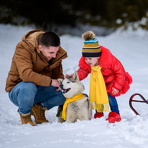 一家人带着爱斯基摩犬、快乐的女儿和爸爸在冬天的森林里和狗玩耍。