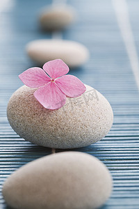 禅宗石头和粉红色的花朵