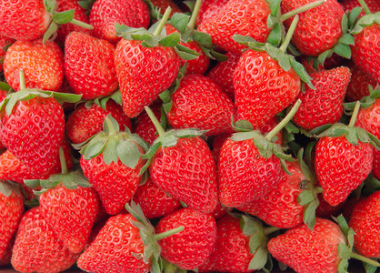 背景直摄影照片_木箱篮子里美丽美味的草莓，有机农业的概念，果园新鲜直送，特写