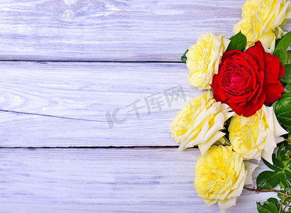红色黄色喜庆摄影照片_一束盛开的黄色和红色玫瑰