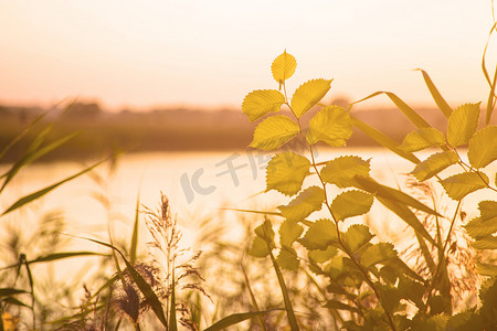 河边夕阳