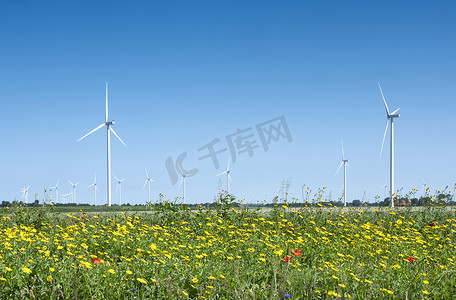 黄蓝风摄影照片_蓝天下的红黄夏花和风力涡轮机