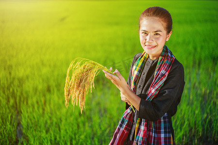 农妇在地里捧着稻谷