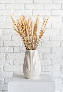 白色砖墙背景中白色花瓶中的麦穗