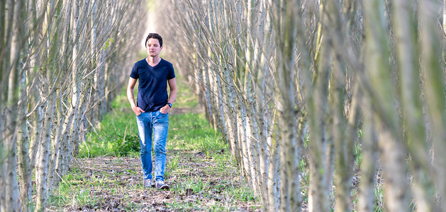 一排树摄影照片_一个年轻人在一个人为恢复自然而种植的森林里走过一排树