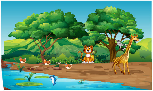 动物们在森林里的河岸上玩耍