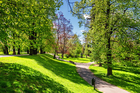 春天公园里有绿色的草坪，阳光明媚。